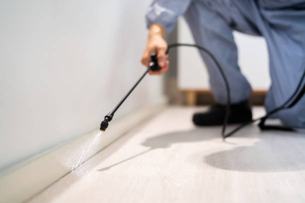 Licensed Cockroach Control service in Riverton, IL - Nex Pest Control