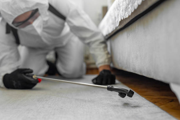 Professional Cockroach Control technician working in Riverton, IL