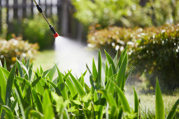 24/7 Emergency Cockroach Control experts in Riverton, IL