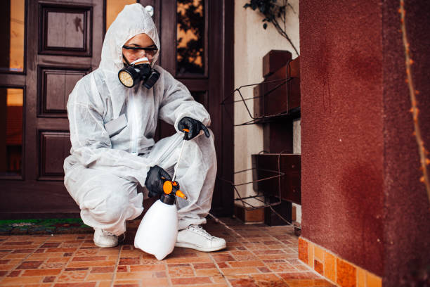 Reliable Cockroach Control contractor in Riverton, IL by Nex Pest Control